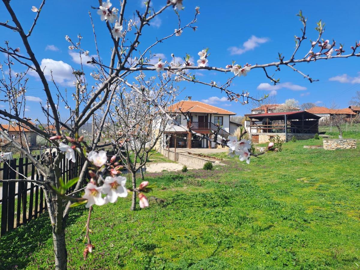 فندق Casa Lambuh المظهر الخارجي الصورة